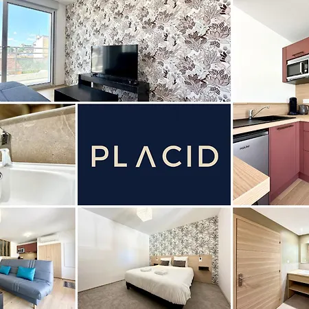 Sous Les Palmiers - Neuf - Parking - Centre - Tele Apartment